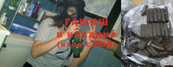 шишки Аркадак