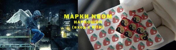 шишки Аркадак