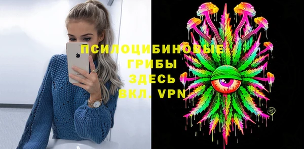 крисы Армянск