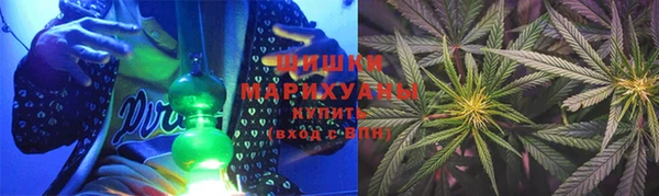 прущие грибы Арсеньев