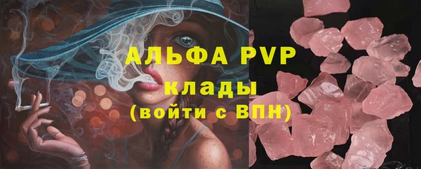 шишки Аркадак