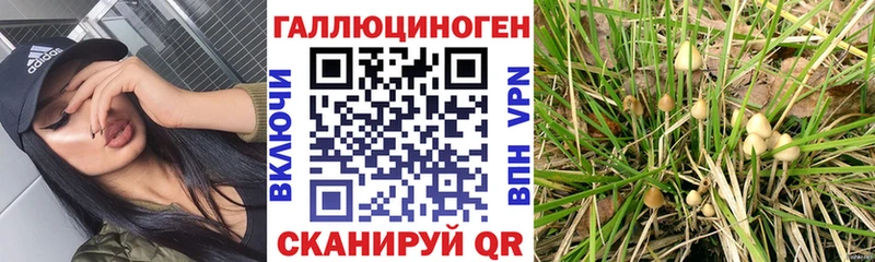Псилоцибиновые грибы мухоморы Ростов